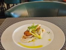 Scallops
