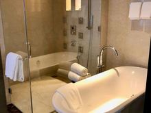 Shower  Cubicle and Roll Top Bathtub