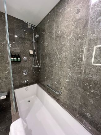 Tub with shower