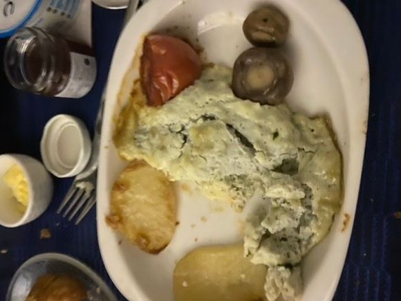 Here’s a new one. Green scrambled eggs. Or maybe they’re blue. DEL-EWR. They tasted more blue than green. 
On the bright side, the crew was great. Dinner was fine. And I got lots of sleep. 
But those eggs......