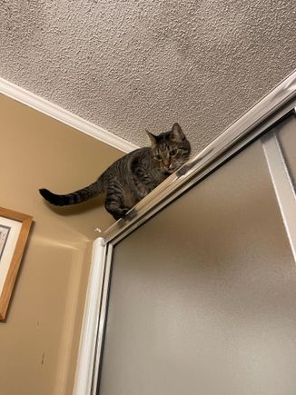 Fred does not believe in giving us privacy in the bathroom.