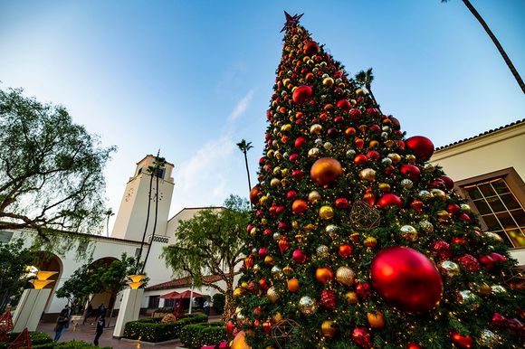 At least the Christmas tress is pretty. Yes, its a Christmas tree. 