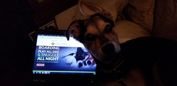 Can I help write your proposal?