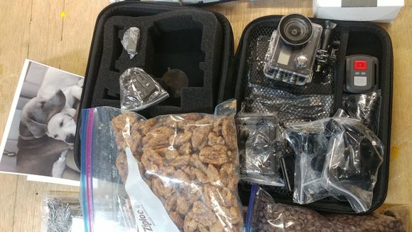 Portable Sports Video Camera Kit and Amazing candied pecans