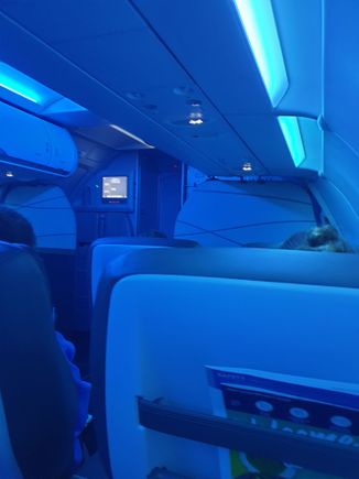 You can have the cabin in any colour you want - as long as it's blue.
