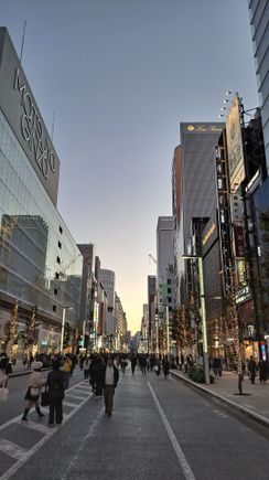 Chuo-dori ( main shopping street in Ginza on Sunday afternoon). Closed to traffic from 1200-1700 on sundays)-great to walk the street as the lights come on)