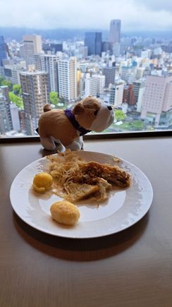 Monty ( The Conrad St James's bulldog) with a small plate of okonomiyaki in the executive lounge . I had had a full breakfast in Mozaik downstairs but Mozaik did not have oknomiyaki as far as i could tell.