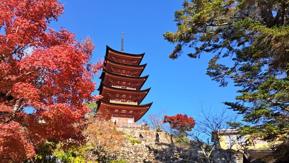 Some beautiful autumn colours  on the island and in the park up  to the ropeway station