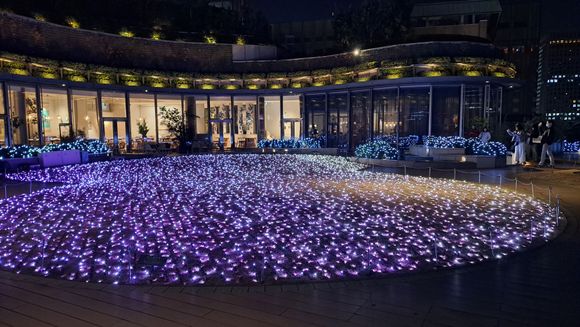 The 6th floor of the Tokyo Midtown hibya complex had restaurants as well as a sky garden with illuminated paths and the lawn covered with LED lights that changed colour
