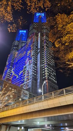 The Tokyo metropolitan government building with a moving light display between the two towers. Would have gone for a closer look but had a few sights to visit in the evening