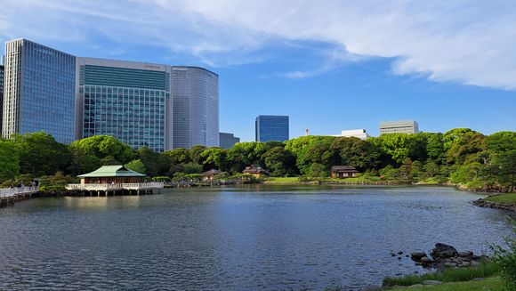 View of my hotel from the far side of hamarikyu gardens   tea house in the foreground.
(My room is on the other side of the hotel so i get skyscrapper views rather than garden/bay views