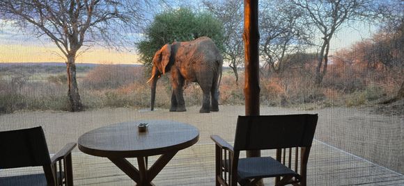 Oliver Camp, Tarangire National Park, Tanzania