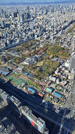 View of Tennoji park from c 300m up 