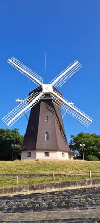 Turning dutch style windmill and rest area. Grass area barren at the moment but would be beautiful in May when the tulips reportedly bloom here