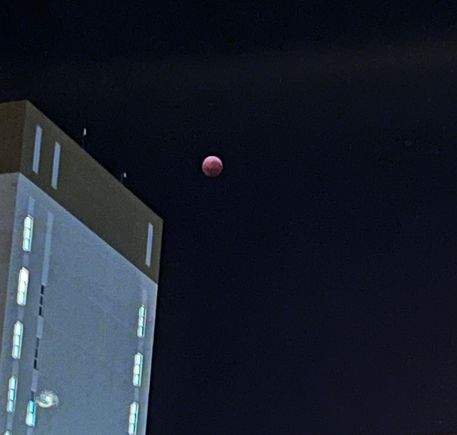 September 2025 lunar eclipse over Hobart, Tasmania taken at 04:11 local time; max totality. Picture cropped from original from iPhone 13 mini.