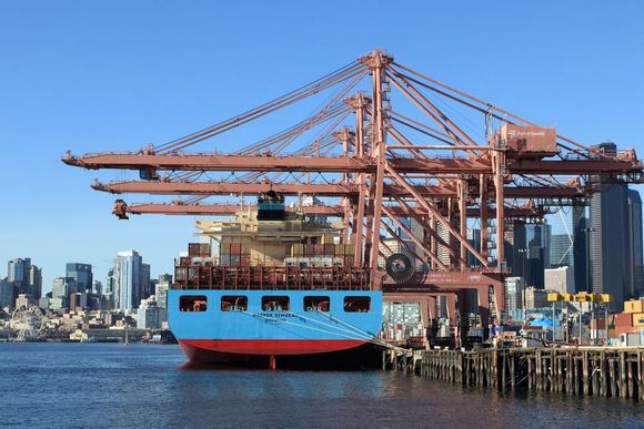 Docks activity
