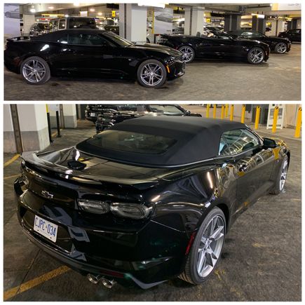Camaro convertibles at Hertz