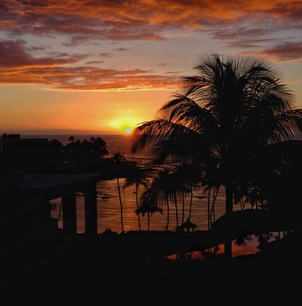 Hilton Waikoloa - attended a conference last week.  