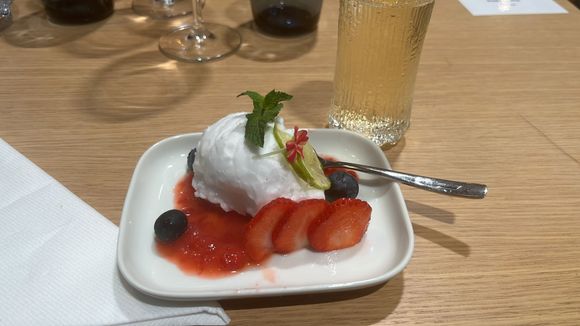 As a ’special guest’ we have been given lemon sorbet with ice cream from the lovely lady working in the lounge