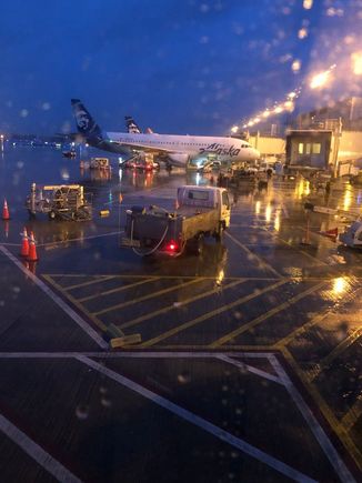 Morning lineup at PDX