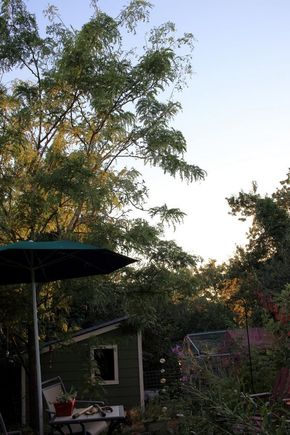 Evening at Goat Hill House