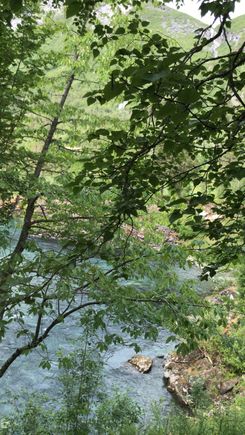 View to river from inside room