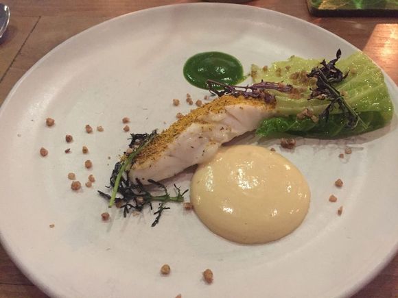 Steamed turbot