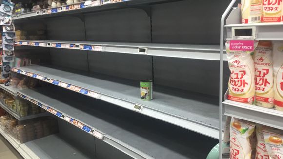 Eggs shelf
