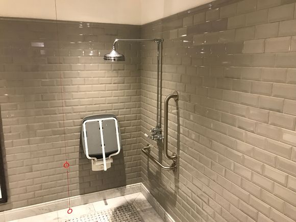 The toilet / shower combo