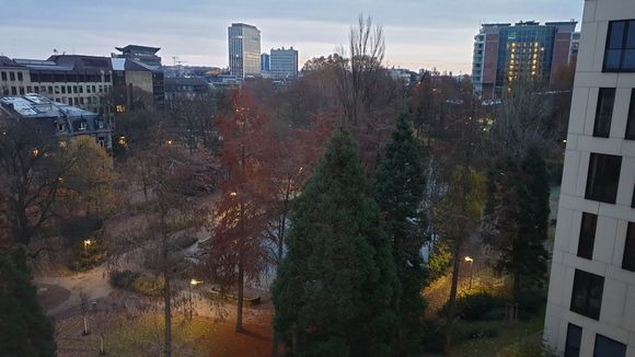 View from the room