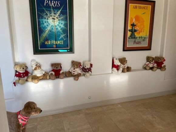 Poppy reviewing the Harrod’s Christmas Bears!