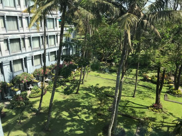 View from dining room