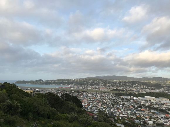 Taking off , taxiing at sunrise  , Wellington 