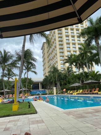 Adult pool