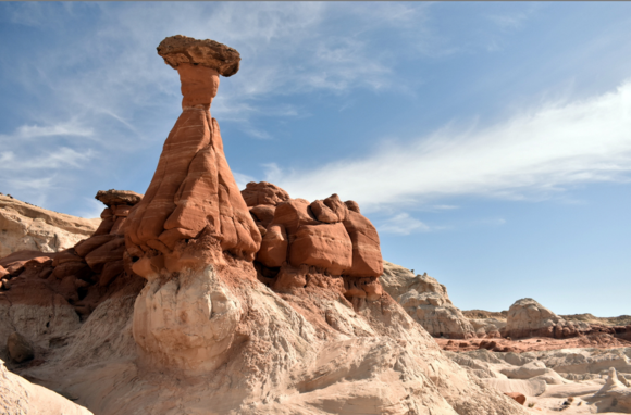Toalstool