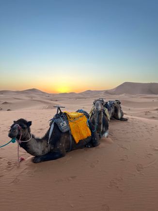 https://moroccopaths.com/