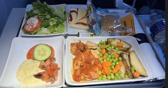 The BBQ chicken was pretty meh.  That's hummus in the lower left of the tray, but with no butter and no proper pita bread, I dipped my lackluster roll in it.  I should've rolled the dice with the AVML and may do it when I take this flight in February if I don't like the options.
