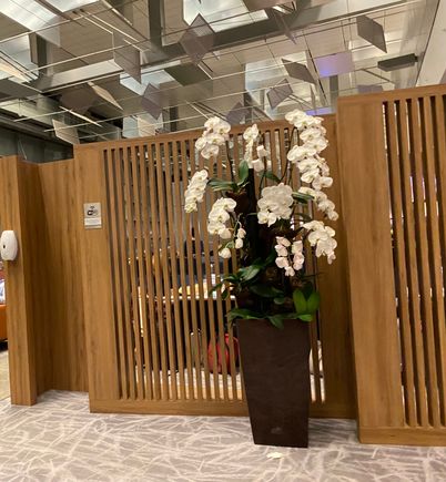 Welcome to one of many sections of the business lounge areas
