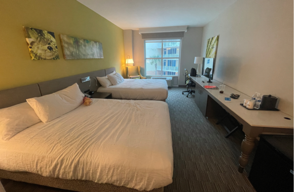 2Q Room