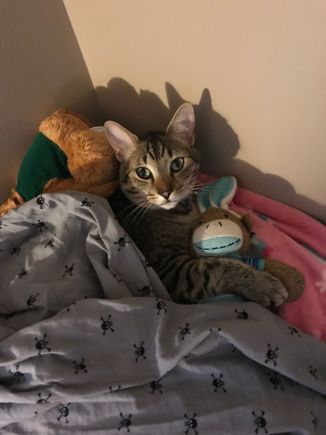 George and his sock monkey.