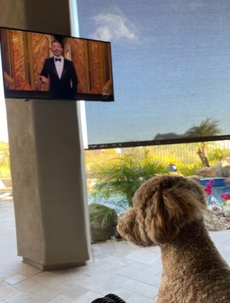 And tonight, watching the Oscars outside. 