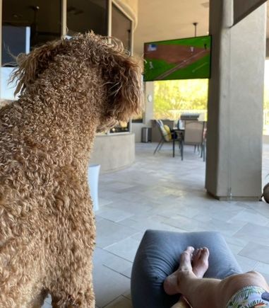 Beautiful day so Poppy and I decided to watch the game outside 