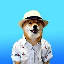 Dogeman, on vacation.