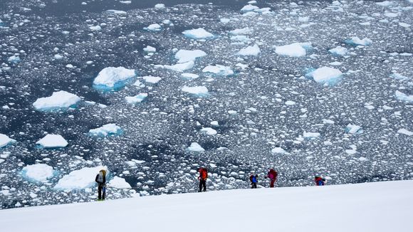 Chiriguano Bay - Antarctica