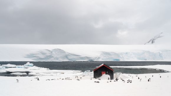 Antarctica - Port Lockroy