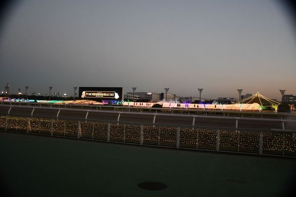 From the grandstand across the racecourse just after sunset