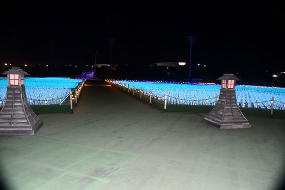 More fields ( but with lanterns this time )-flash used