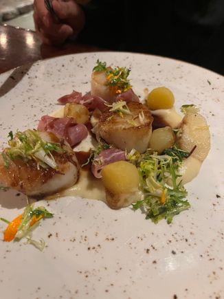 Scallop (dinner main)