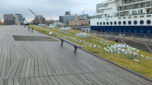 Cruise ship terminal