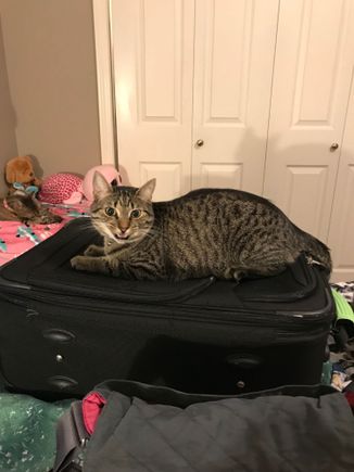 Fred wanted to come with me.